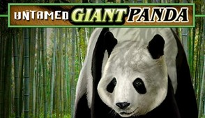 Untamed Giant Panda – бесплатный игровой автомат от Casino-X